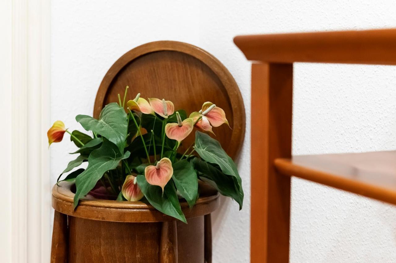 La Picacena Apartment Cuenca  Ngoại thất bức ảnh