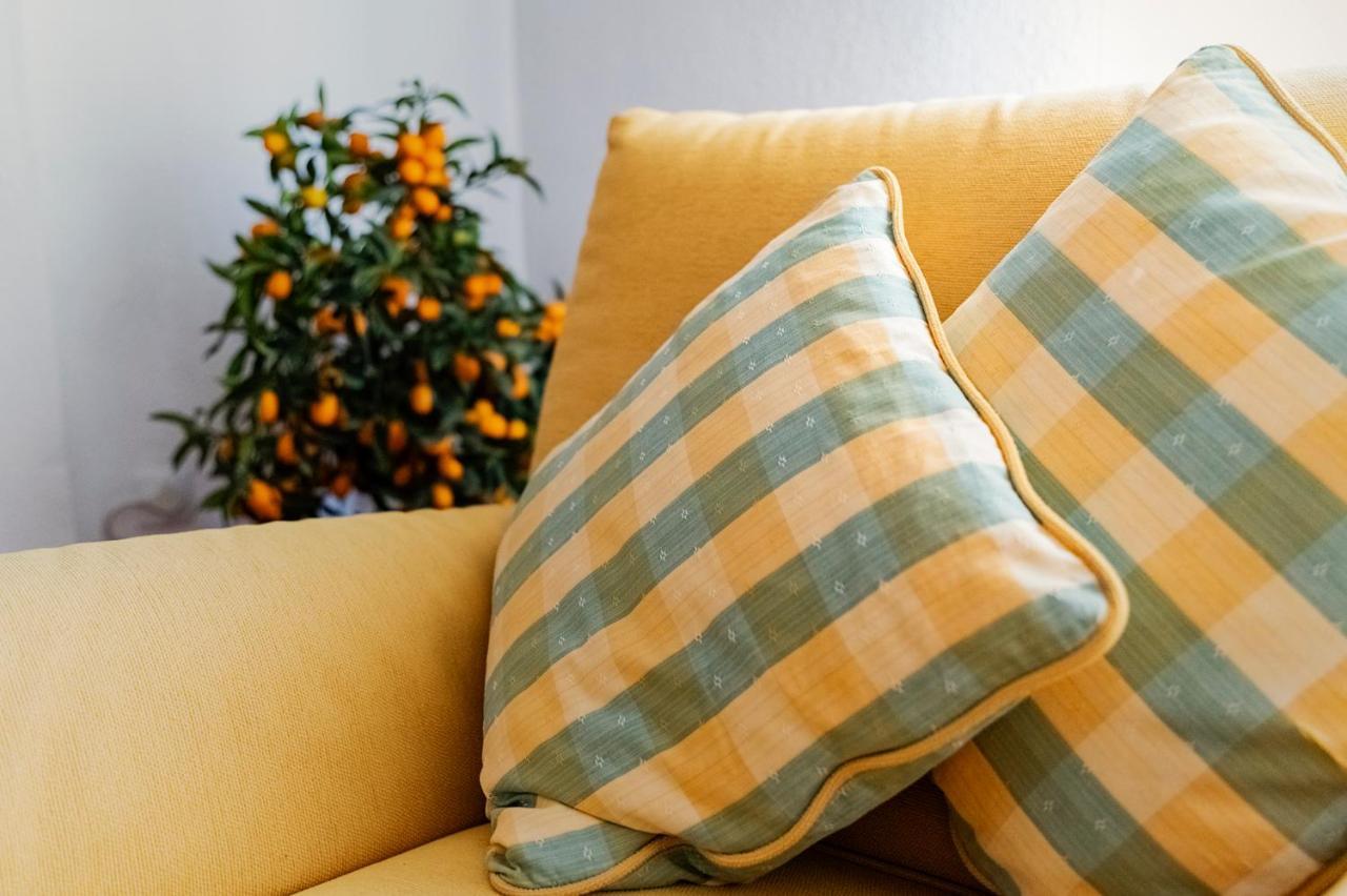 La Picacena Apartment Cuenca  Ngoại thất bức ảnh